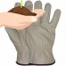 Boss Medium Men's Grain Leather Gloves   23708316